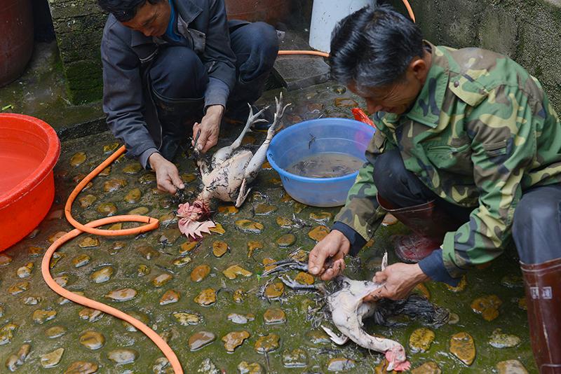 旅游美食说说心情随笔:轻松记录舌尖旅行,让美食记忆飞起来 旅游美食说说心情随笔:轻松记录舌尖旅行,让美食记忆飞起来