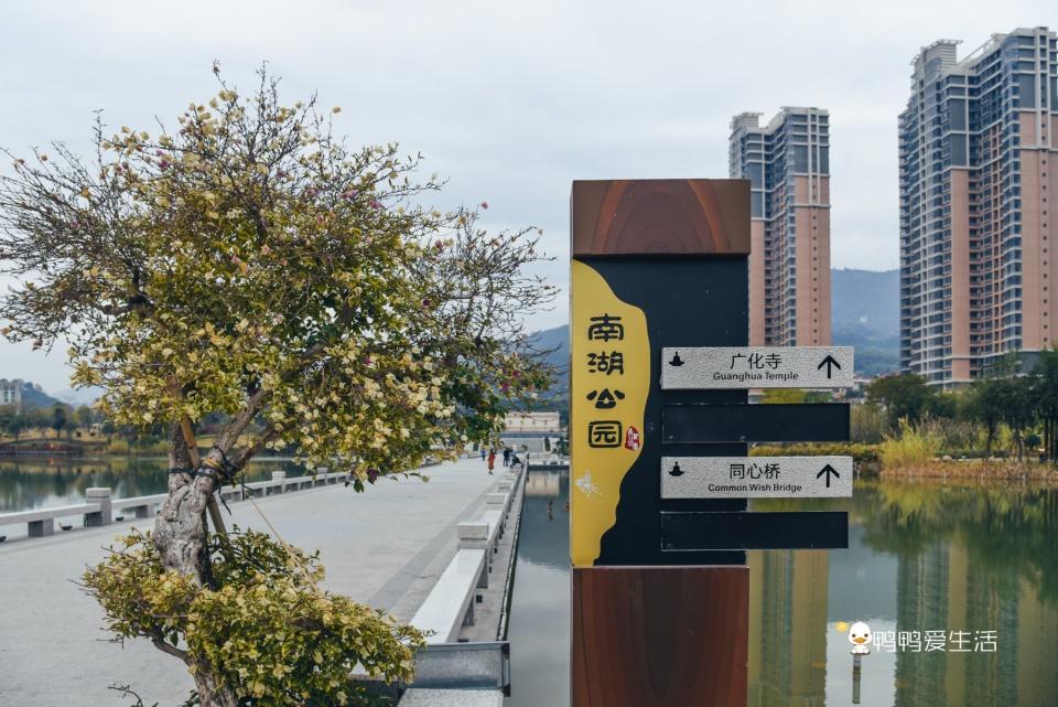 旅游美食地图:轻松规划全球美味路线,让旅行觅食更快乐 旅游美食地图:轻松规划全球美味路线,让旅行觅食更快乐