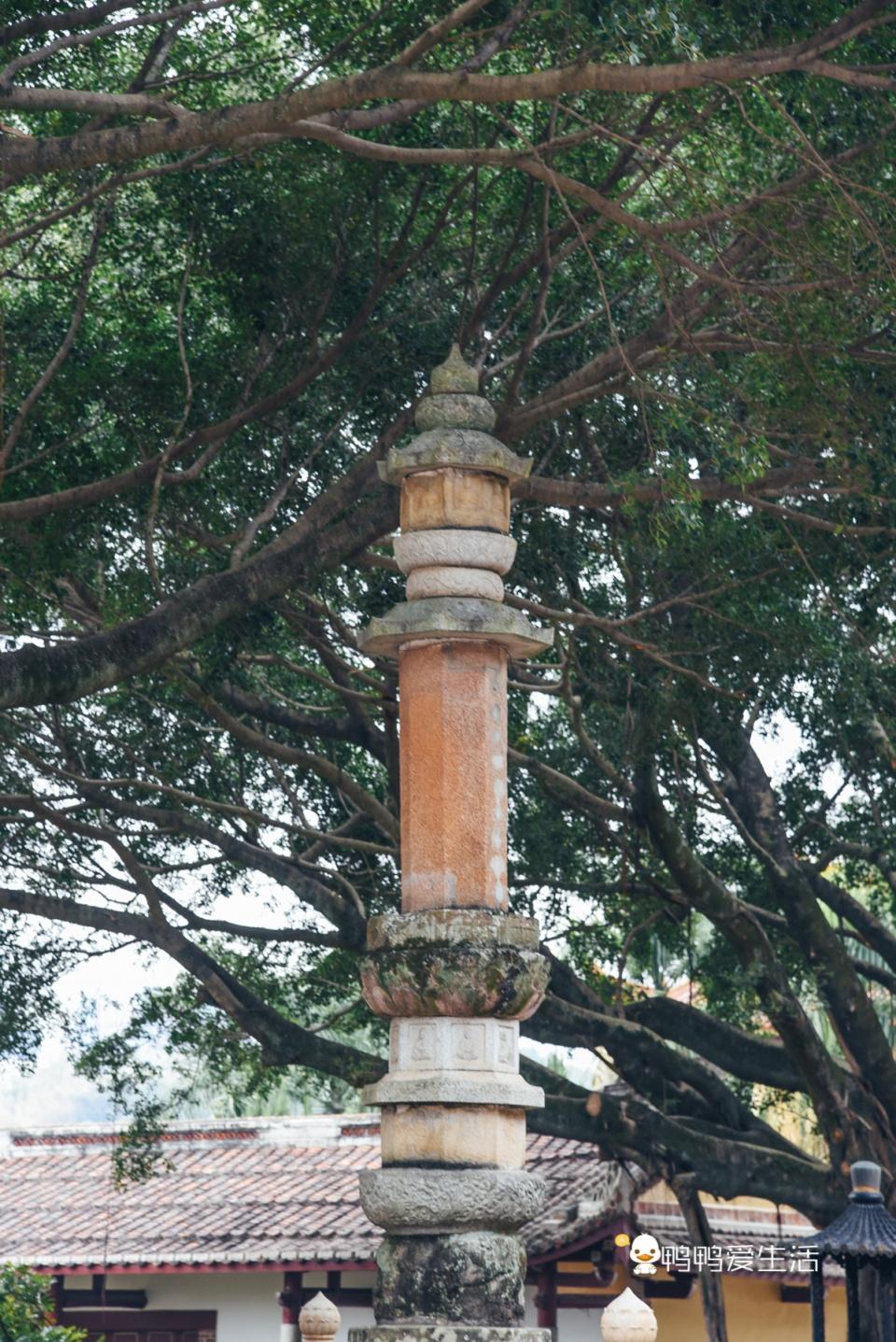 旅游美食地图:轻松规划全球美味路线,让旅行觅食更快乐 旅游美食地图:轻松规划全球美味路线,让旅行觅食更快乐