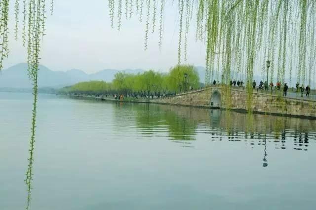 打卡杭州美食必看:经典小吃+网红餐厅+拍照技巧全攻略,带你吃遍西湖边的地道美味 打卡杭州美食必看:经典小吃+网红餐厅+拍照技巧全攻略,带你吃遍西湖边的地道美味